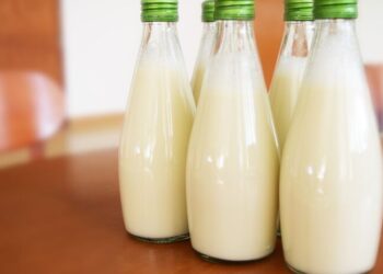 Leite ultrafiltrado avança nos EUA com mais proteína e zero lactose