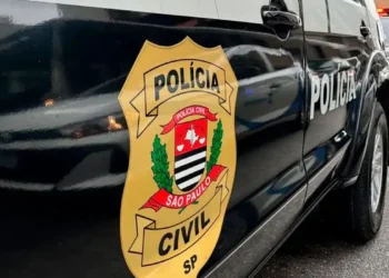 Polícia apreende 2 mil garrafas de gin com notas fiscais falsas em São Paulo