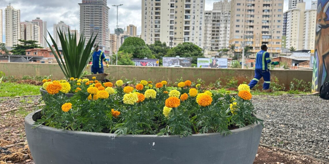 Comurg promove a revitalização da paisagem da Avenida Jamel Cecílio