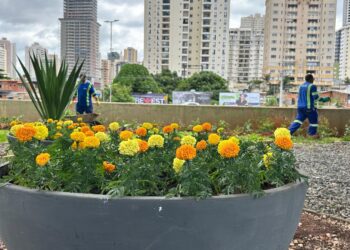 Comurg promove a revitalização da paisagem da Avenida Jamel Cecílio