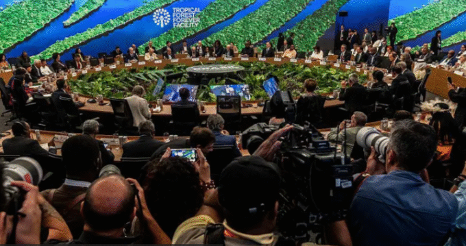 Florestas Tropicais viram ativo: Governo testa modelo financeiro para impulsionar conservação