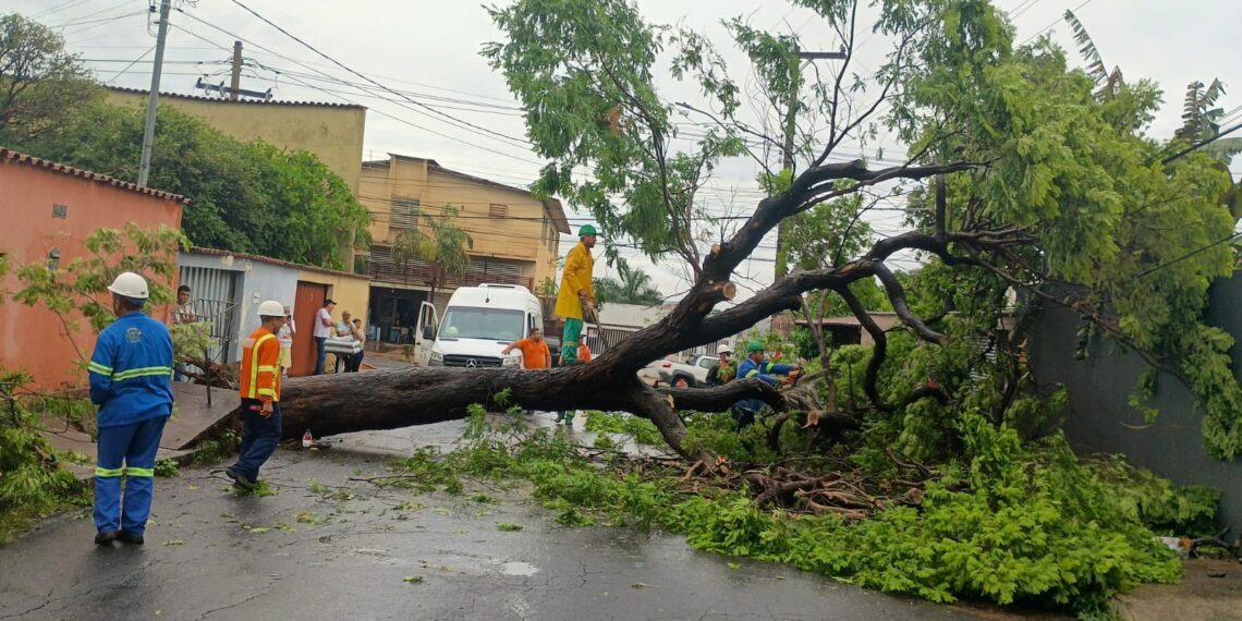 Ações preventivas são intensificadas em Goiânia com alerta laranja da defesa civil