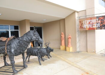 Aparecida de Goiânia aprova investimento histórico de R$ 13,2 milhões para cultura