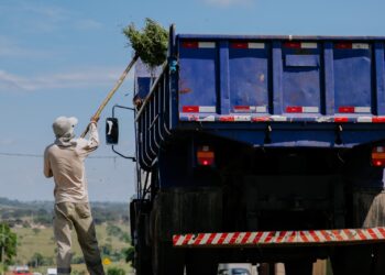 Senador Canedo intensifica ações de zeladoria urbana para garantir segurança e bem-estar