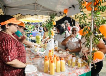 Educação que transforma: EJA Senador Canedo encerra 2025 com celebração de saberes e sabores