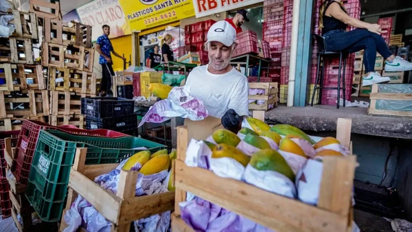 Sete frutas que favorecem a digestão e regulam o intestino