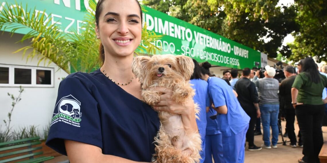 UPAVet ultrapassa mil atendimentos de emergência em 2025