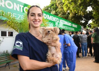 UPAVet ultrapassa mil atendimentos de emergência em 2025