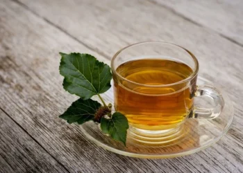 Planta com 22 vezes mais cálcio que o leite: chá de amora fortalece ossos e imunidade