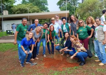 Goiânia e Aparecida lançam corredor verde na Virada Ambiental 2025