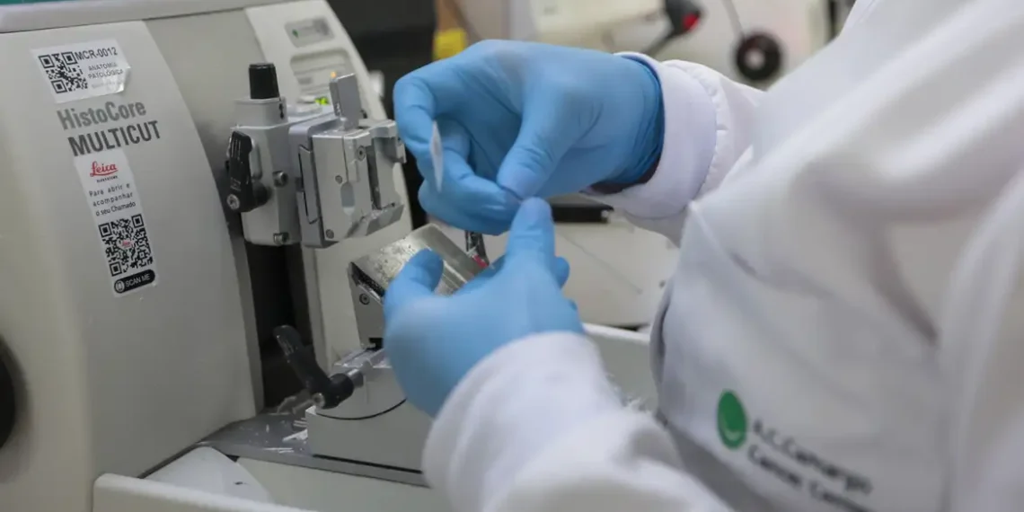 Câncer de próstata mata 48 homens por dia no Brasil, apesar de alta taxa de cura