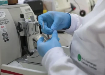 Câncer de próstata mata 48 homens por dia no Brasil, apesar de alta taxa de cura