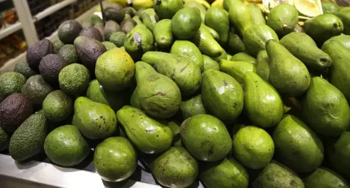 Abacate: a fruta aliada na redução da gordura abdominal, segundo estudo científico