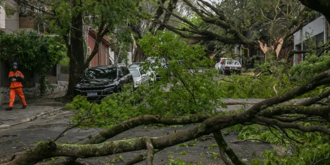 Vendaval deixa São Paulo em colapso e mantém milhares sem energia e água