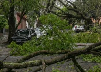 Vendaval deixa São Paulo em colapso e mantém milhares sem energia e água