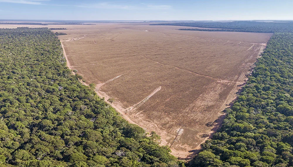 União Europeia adia novamente aplicação da lei antidesmatamento