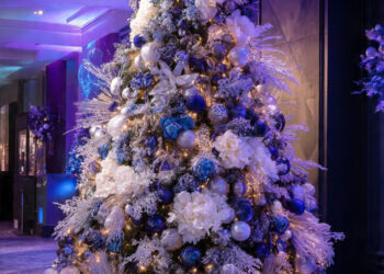 A Origem e o Significado da Árvore de Natal: Uma Tradição que Atravessa Séculos