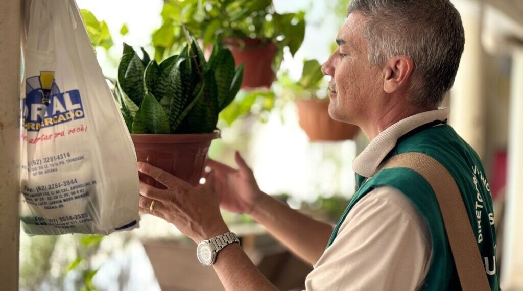 Goiânia reduz quase pela metade os casos de dengue em 2025