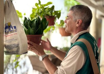 Goiânia reduz quase pela metade os casos de dengue em 2025