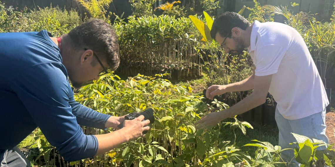 Goiânia intensifica ações de arborização com foco em educação ambiental