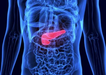 Pâncreas: O órgão discreto que sustenta a saúde e como nossos hábitos podem colocá-lo em risco