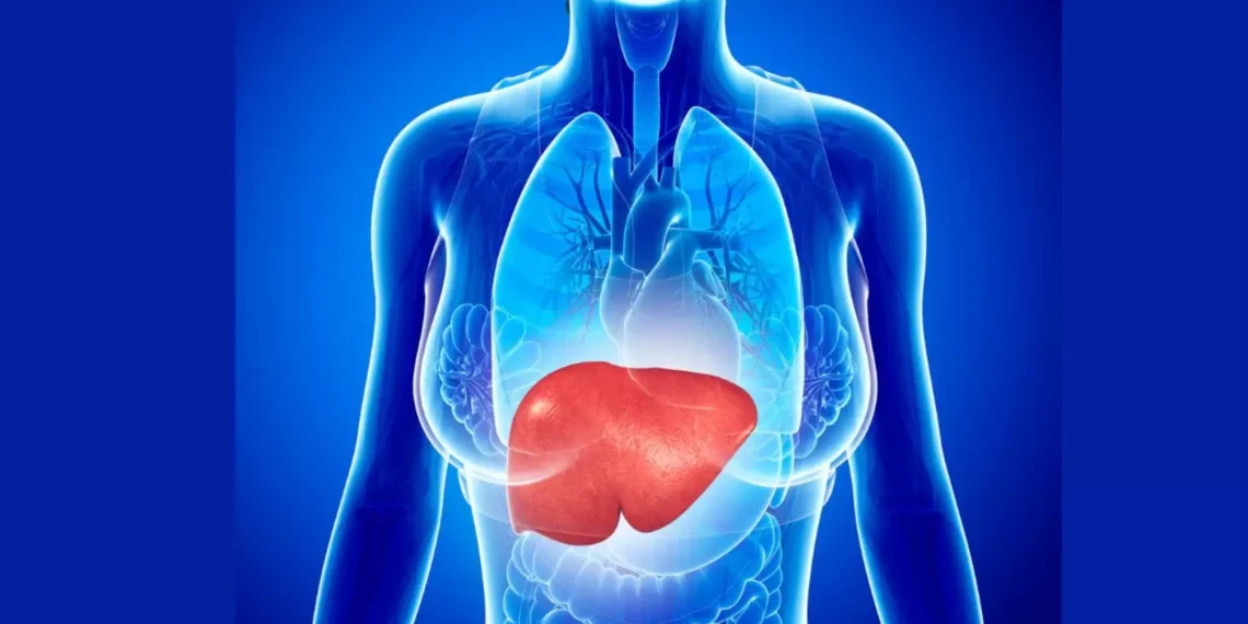 Dieta equilibrada é aliada no combate à esteatose hepática