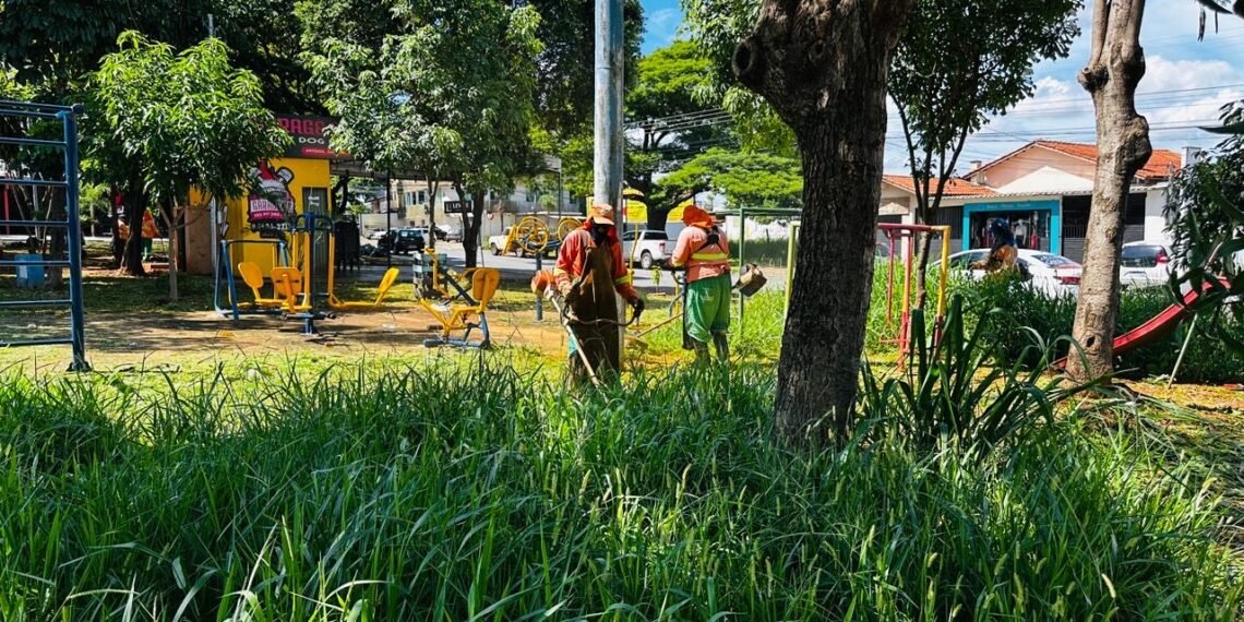 Comurg contrata empresa para reforçar roçagem e poda de gramados em Goiânia