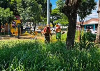 Comurg contrata empresa para reforçar roçagem e poda de gramados em Goiânia