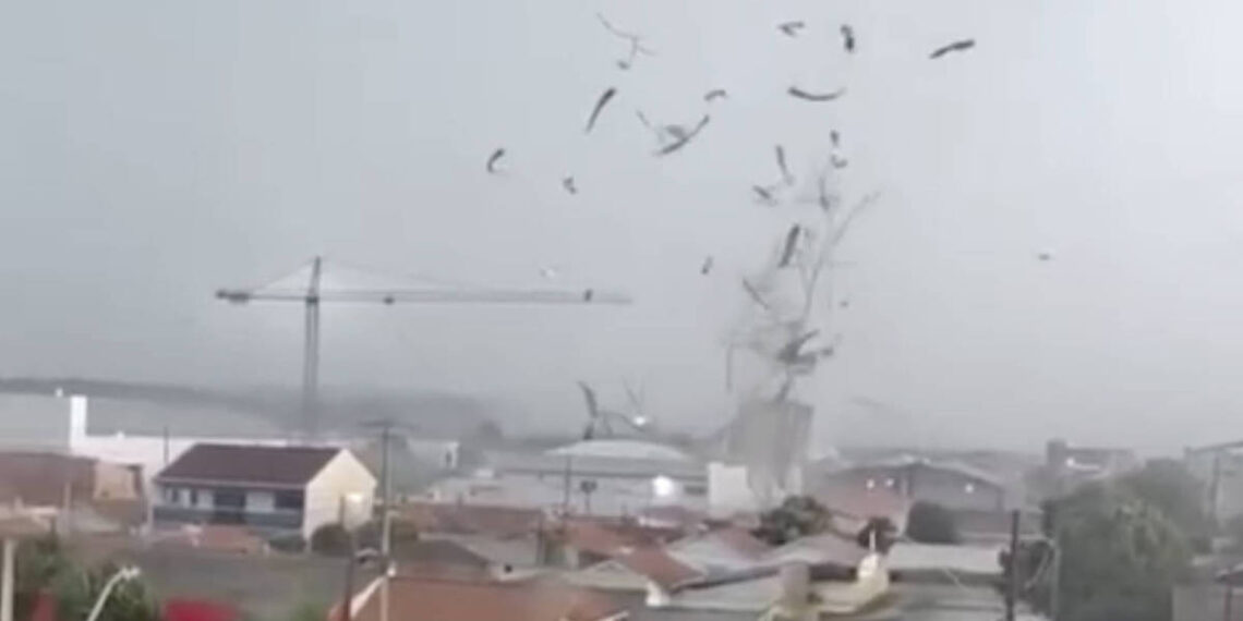Tornado atinge São José dos Pinhais e deixa mais de 1.200 pessoas afetadas na Grande Curitiba