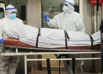 Nipah reacende alerta global após novos casos na Índia e reforça temor por vírus de alta letalidade