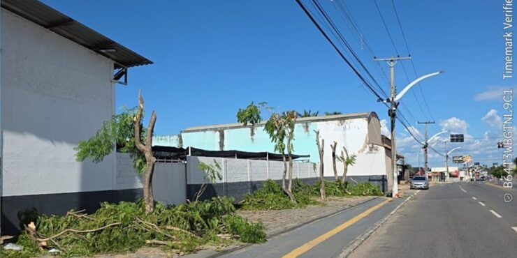 Prefeitura de Aparecida apreende caminhões da Equatorial por mutilação de árvores