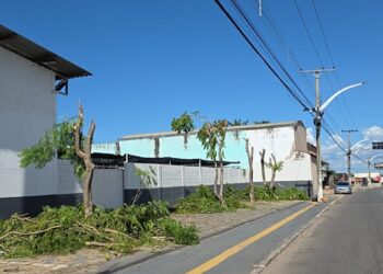 Prefeitura de Aparecida apreende caminhões da Equatorial por mutilação de árvores