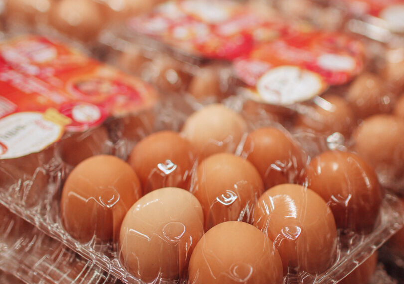 Por que lavar ovos antes de guardar pode representar um risco à saúde