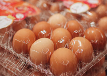 Por que lavar ovos antes de guardar pode representar um risco à saúde