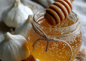 Mel e alho: os benefícios da dupla que fortalece a saúde