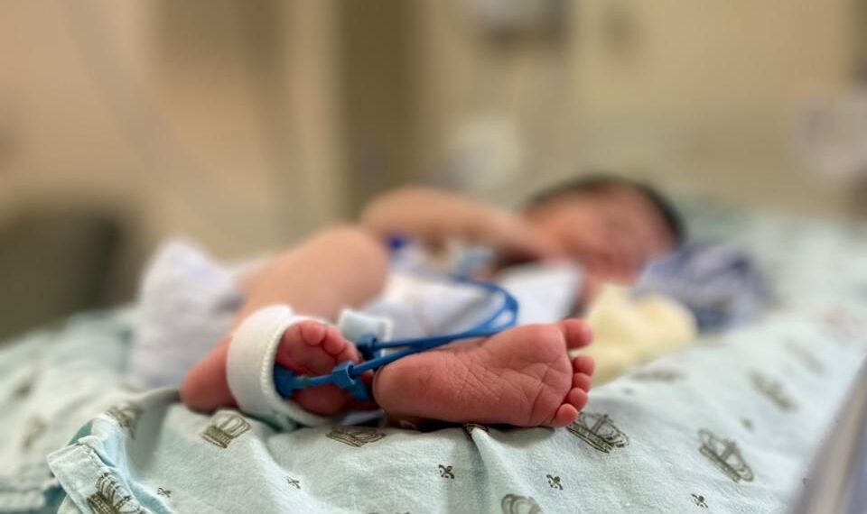 Maria e Heitor lideram registros de nascimento na Maternidade Célia Câmara em 2025