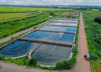 Senador Canedo amplia rede de esgoto e inicia nova fase com o projeto “Esgoto 3”