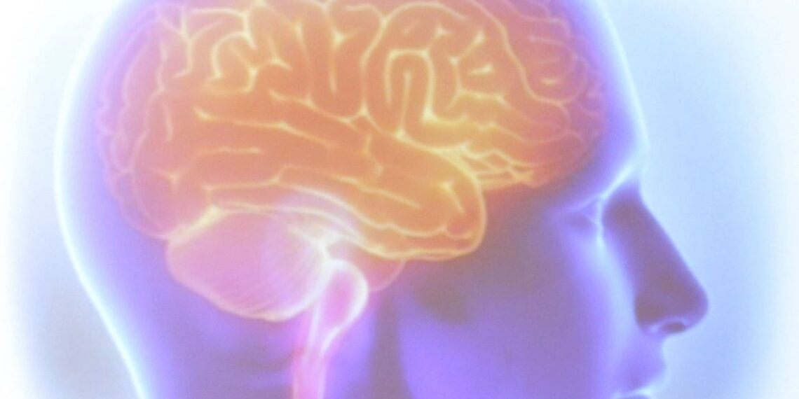 AVC provoca uma morte a cada seis minutos no Brasil