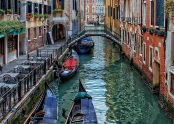 O segredo submerso de Veneza: a “floresta invisível” que sustenta a cidade há séculos