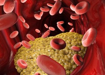 Alimentos ganham protagonismo no controle do colesterol e ajudam a reduzir risco de infarto e AVC