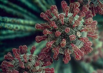 Alerta global vs. realidade local: O vírus Nipah representa risco para o Brasil?