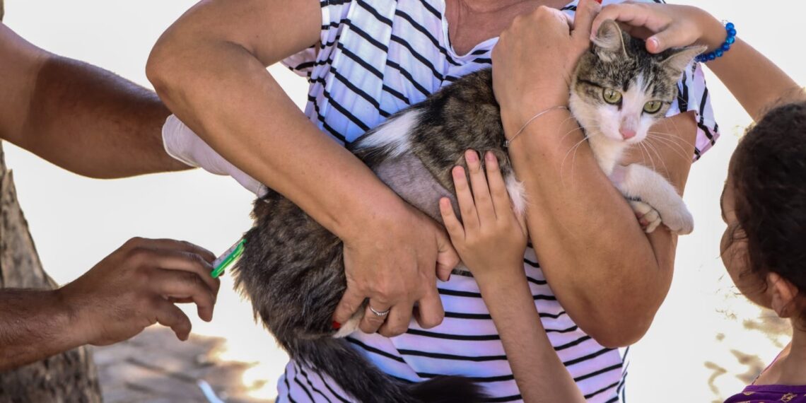 Senador Canedo inicia campanha de vacinação antirrábica