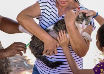 Senador Canedo inicia campanha de vacinação antirrábica