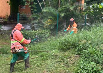 Goiânia intensifica força-tarefa de poda de gramado