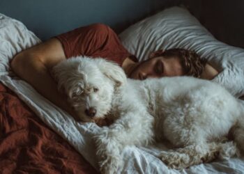 Pets na cama: O que a ciência diz sobre dormir com seu cão?