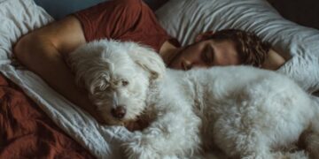 Pets na cama: O que a ciência diz sobre dormir com seu cão?