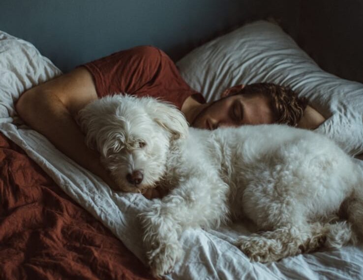 Pets na cama: O que a ciência diz sobre dormir com seu cão?
