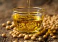 Estudo associa óleo de soja ao ganho de peso e reacende debate sobre alimentação