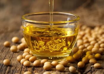 Estudo associa óleo de soja ao ganho de peso e reacende debate sobre alimentação