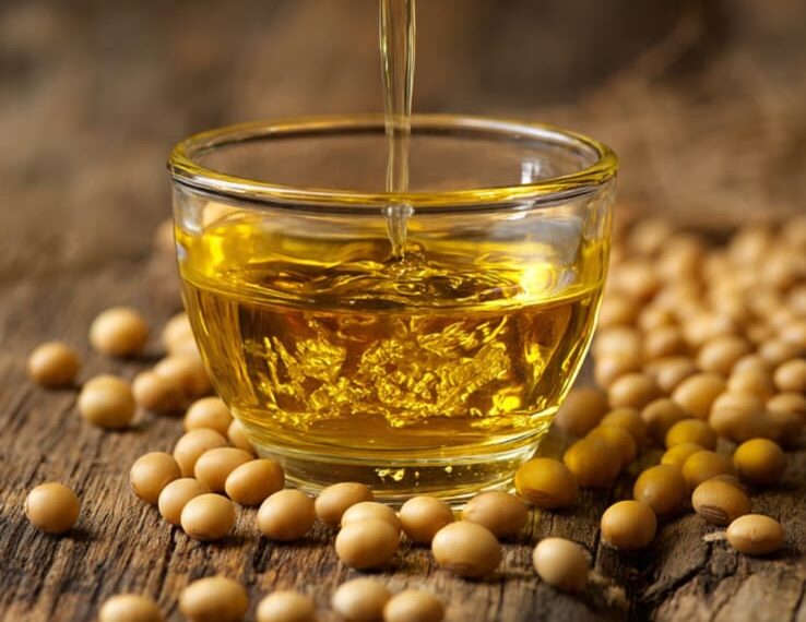 Estudo associa óleo de soja ao ganho de peso e reacende debate sobre alimentação